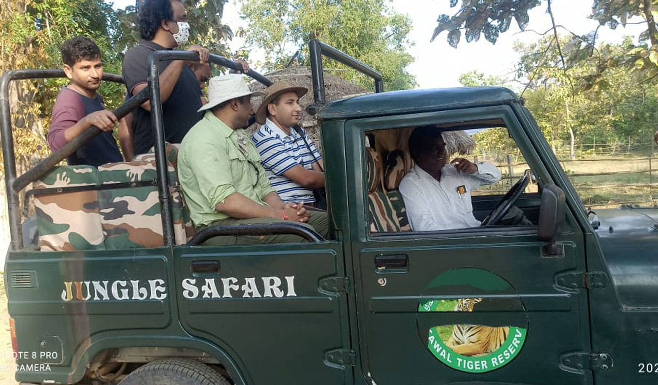 Telangana: Jungle safari resumes in Kawal Tiger Reserve with new features