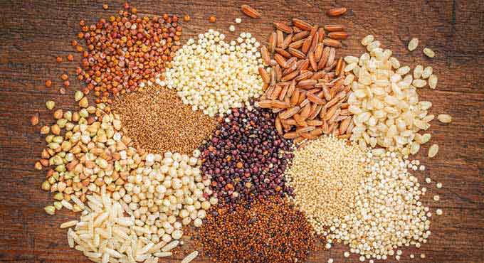 Millet Festival set to take place in Hyderabad on Nov 4