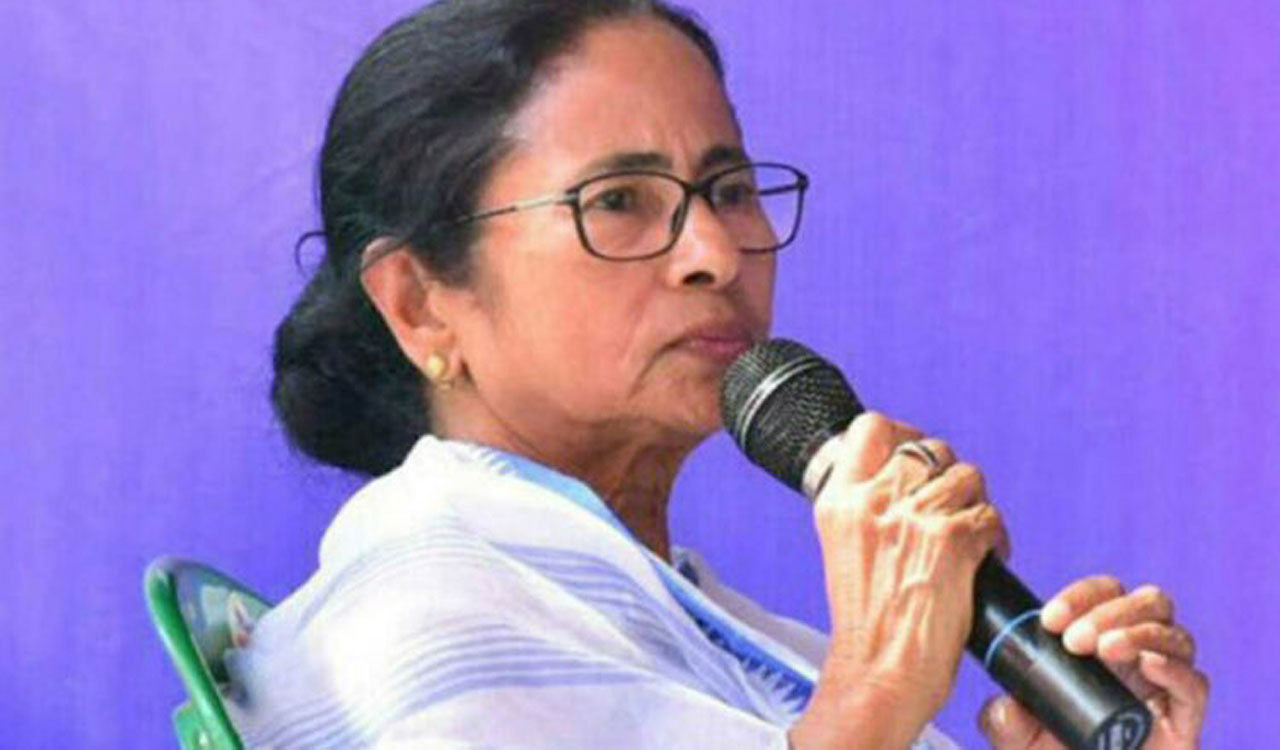 WB: Mamata directs officials to raise vigil to prevent dengue deaths