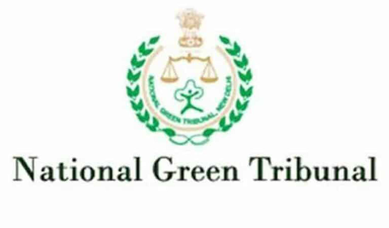 NGT asks Centre to issue additional ToR to Yadadri Power Project; warns of action