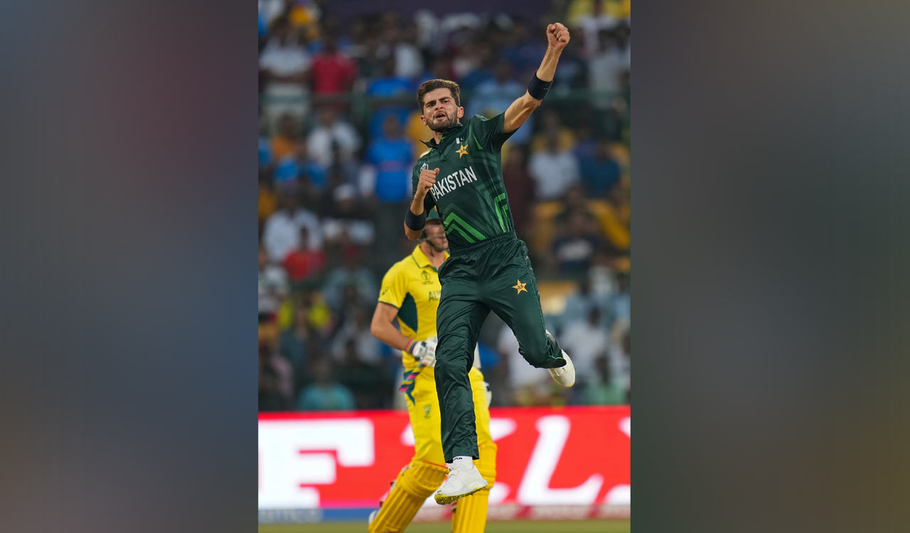 CWC 2023: Afridi becomes only Pakistani bowler to take 5-wicket haul twice