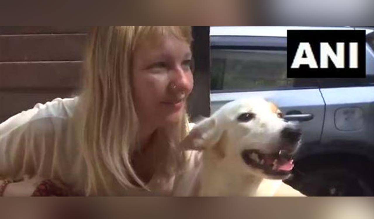 Street dog Jaya gets passport, heads to Netherlands with new owner