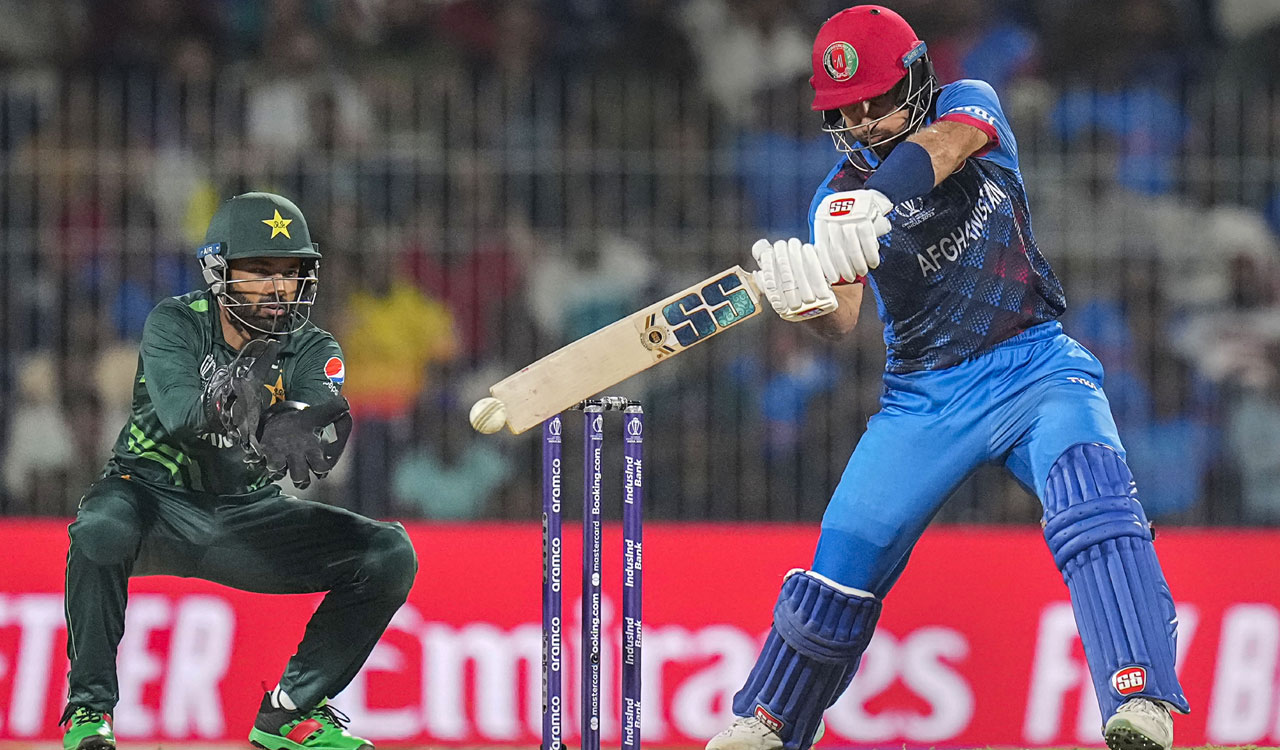 CWC 2023: Afghanistan beat Pakistan by 8 wickets in another World Cup upset