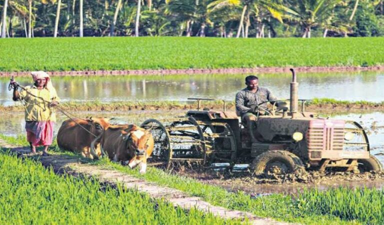 Telangana gross cropped area shot up from 1.31 cr acres to 2.38 cr acres in last decade