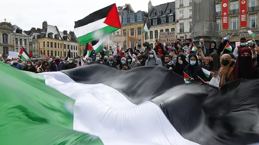 Pro Palestine protests in Paris