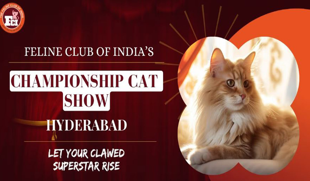 Hyderabad: Cat Show to be held on October 15