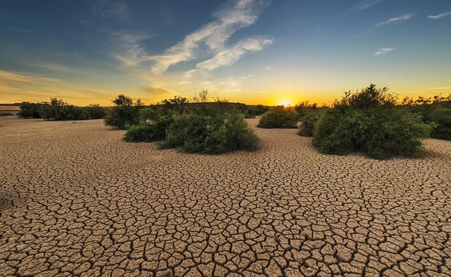 UN Report Warns India Heading Towards Groundwater Depletion Tipping Point