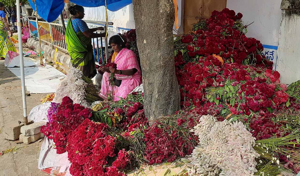 Fertilizers, pesticides used to grow Sitamma Jada bathukamma flower