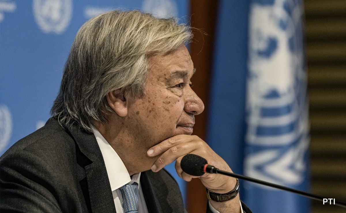 "Need Sustained Humanitarian Access To Gaza": UN Chief