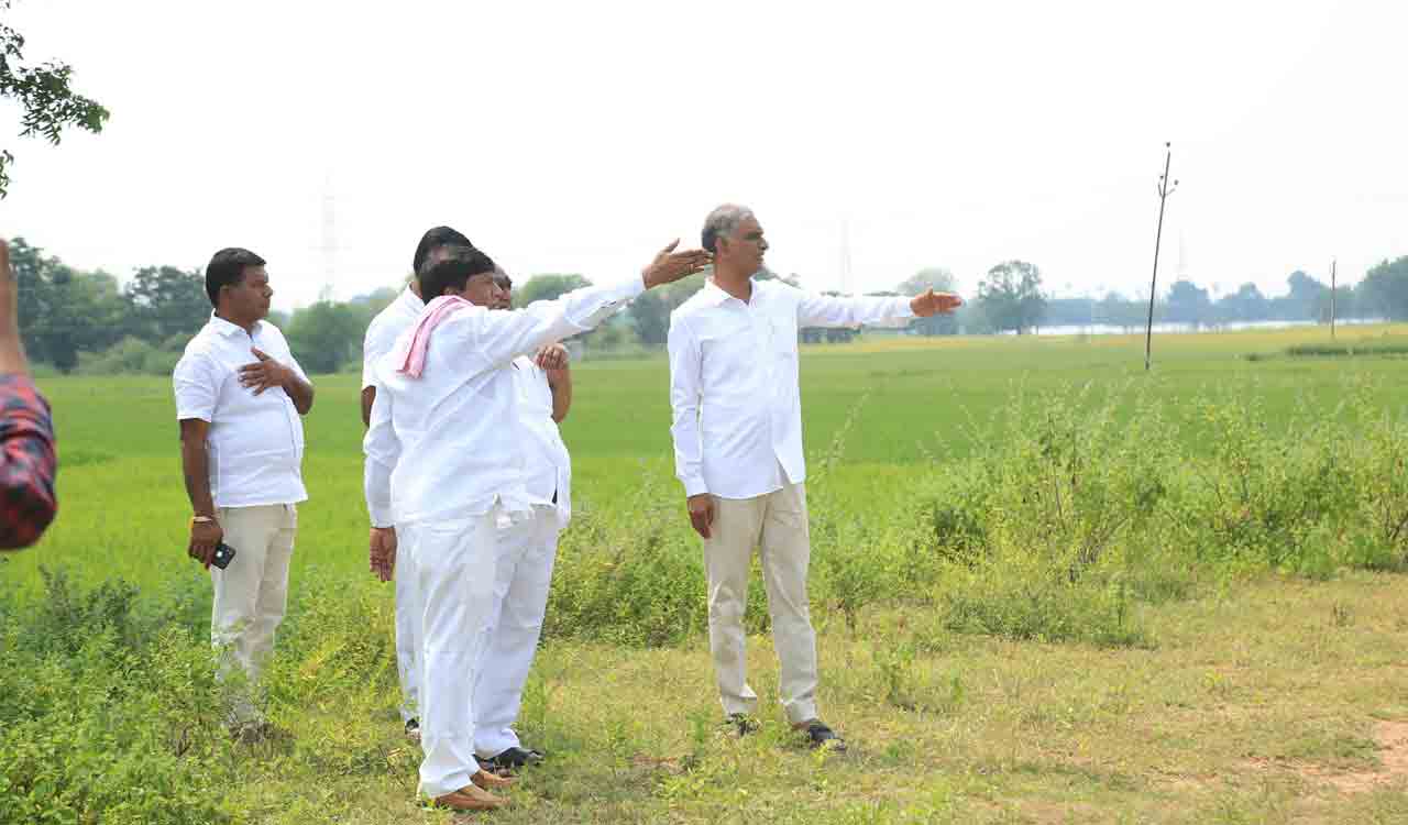 Congress failed to declare single candidate even 50 days after BRS declared: Harish Rao