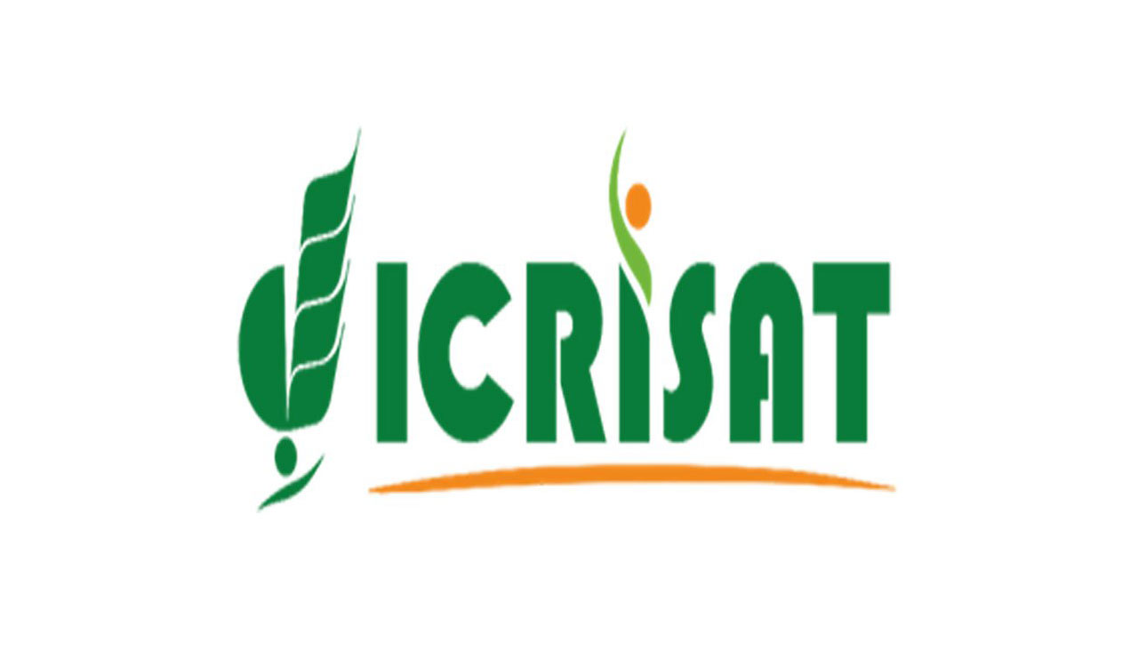 ICRISAT boosts food security in Niger, Chad during Ukraine-Russian conflict