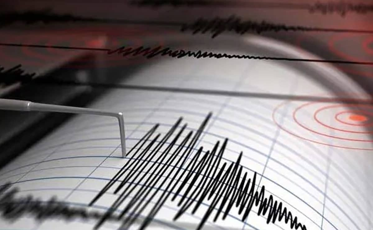 3.1 Magnitude Earthquake Hits Assam's Dhubri, No Deaths Reported