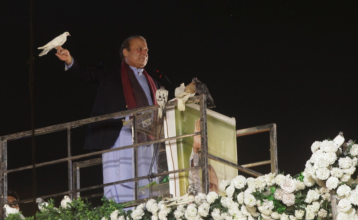 "Only Desire To See Nation Prosper": Nawaz Sharif Vows To Work On Economy