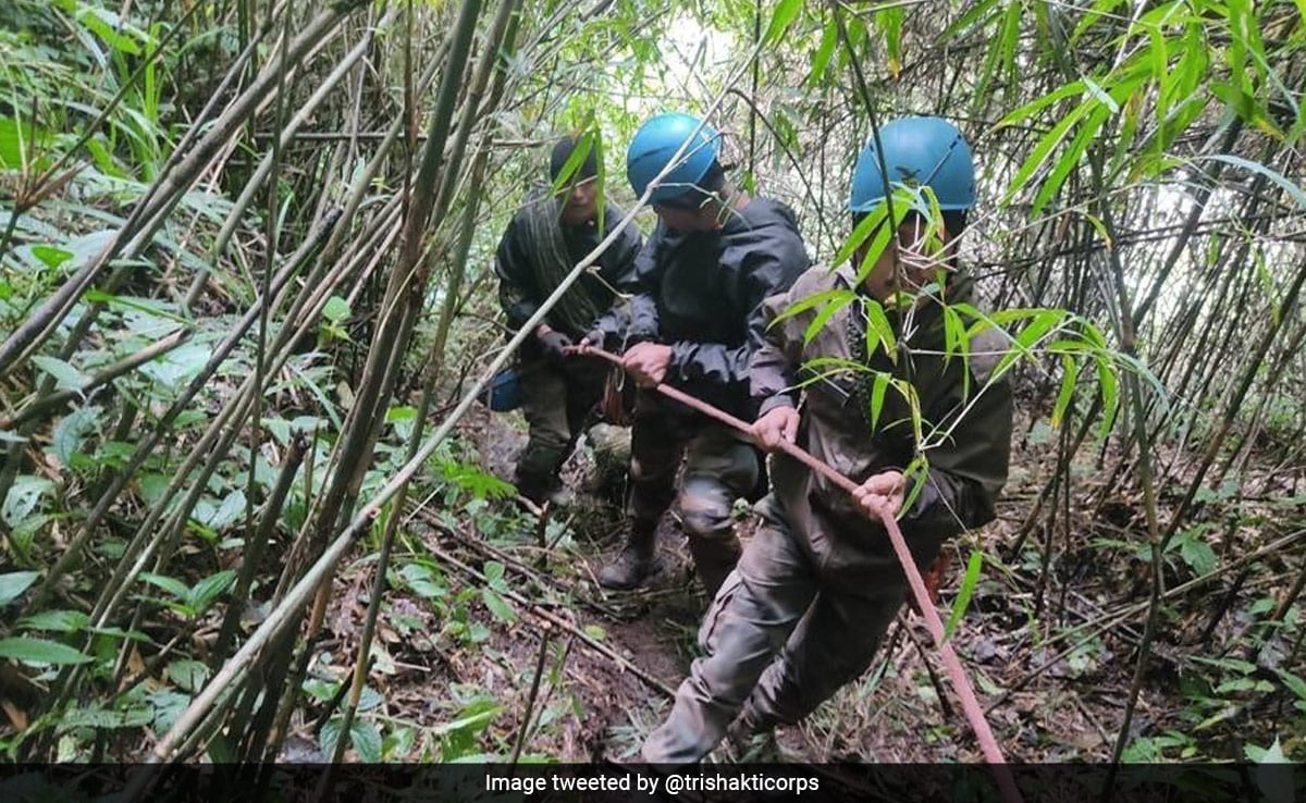 Moving Through Mountains, Jungles, Army Rescues 245 People In Sikkim