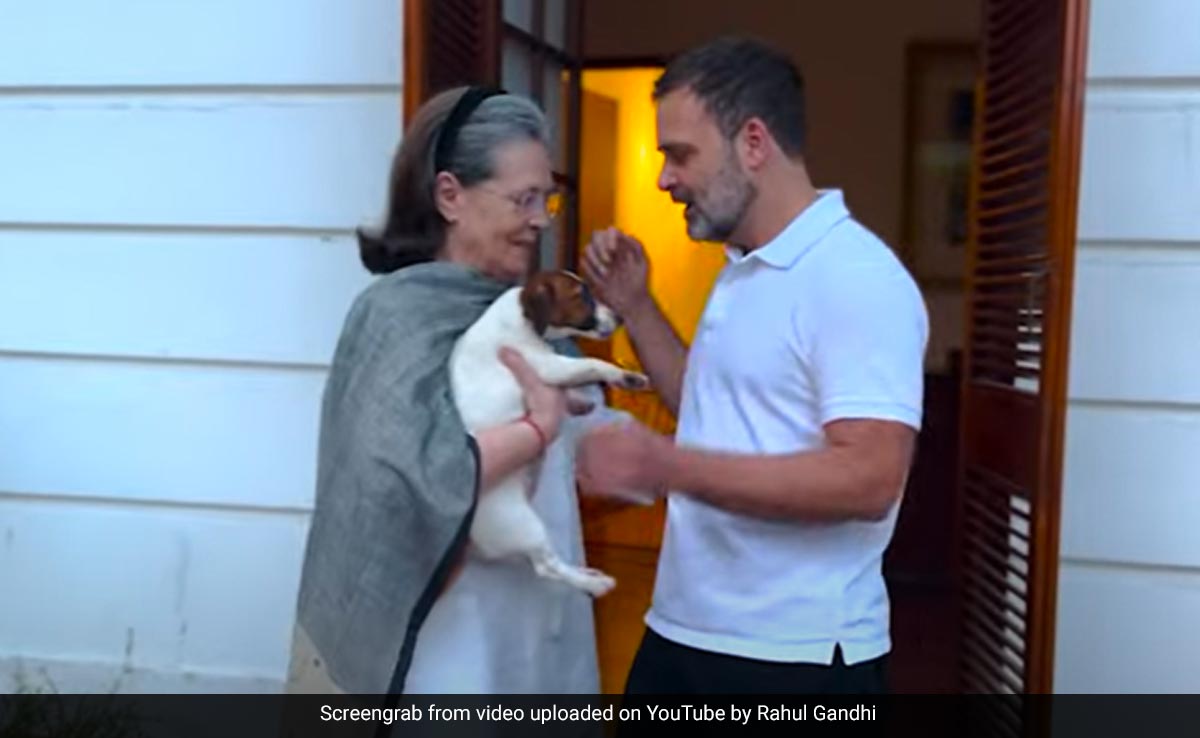 Video: Meet 'Noorie', "Newest, Cutest" Member Of Gandhi Family