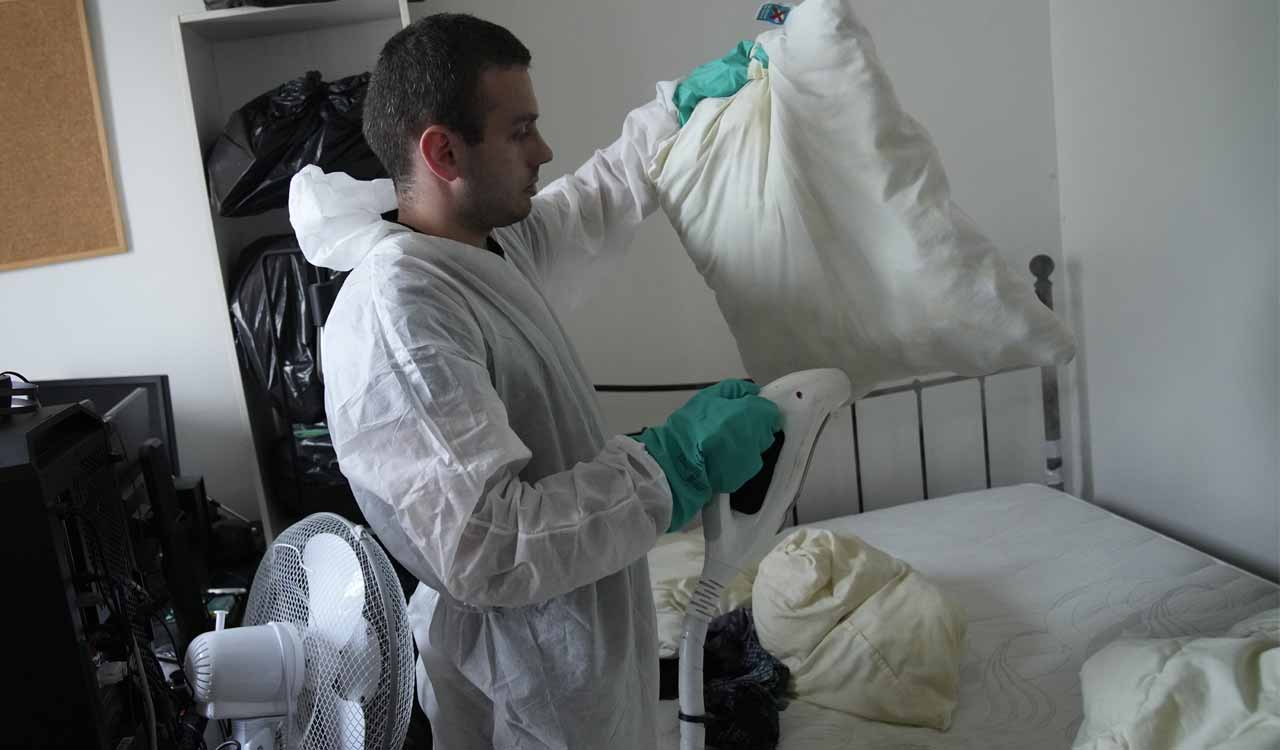 Paris battles invasion of bedbugs just months ahead of 2024 Olympics