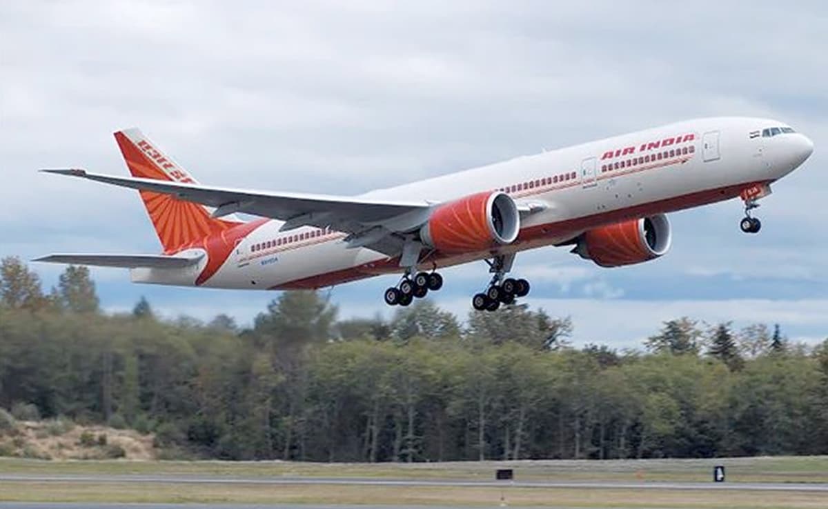 FIR Against Punjab Man For Allegedly 'Abusing' Air India Cabin Crew