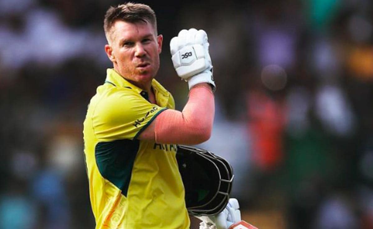 Watch: Warner Celebrates In 'Pushpa' Style After WC Ton. Internet Loves It