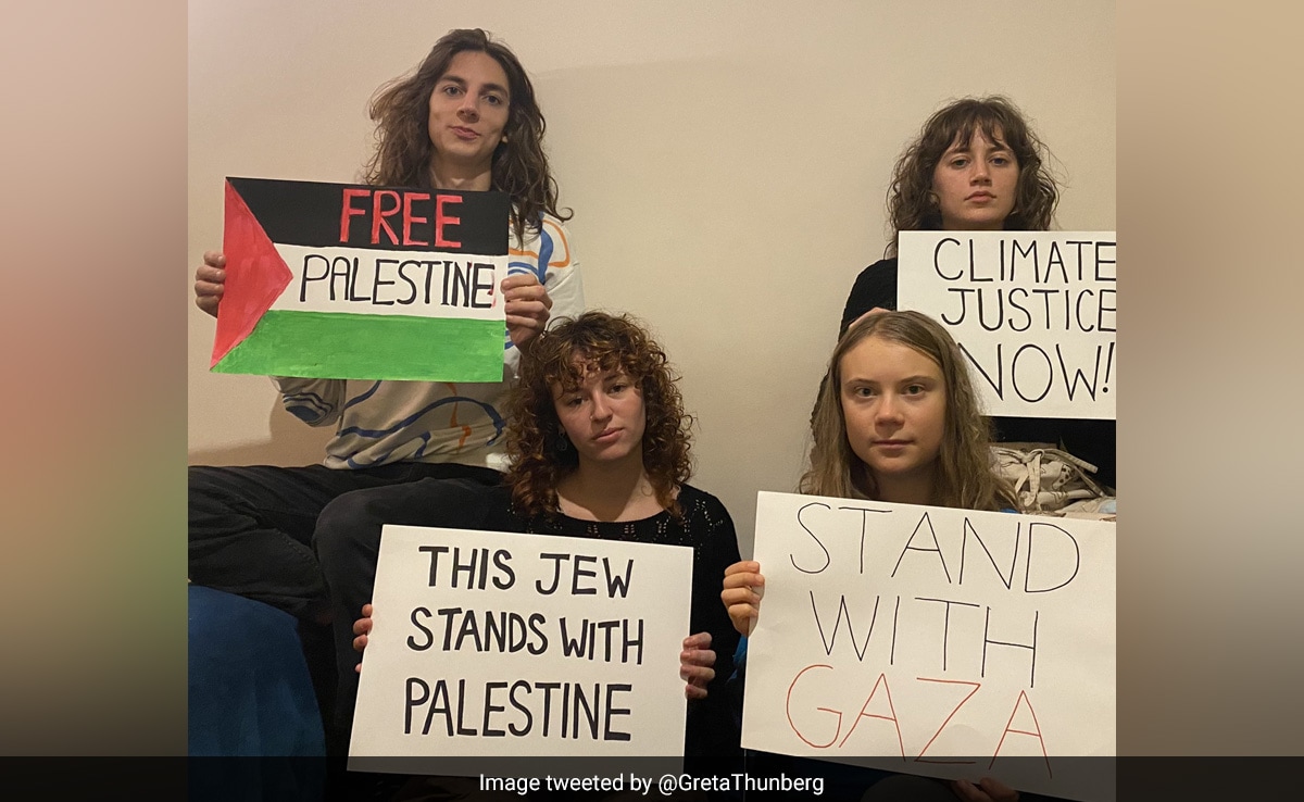 "Hamas Doesn't…": Israel Responds To Greta Thunberg's Post On Gaza