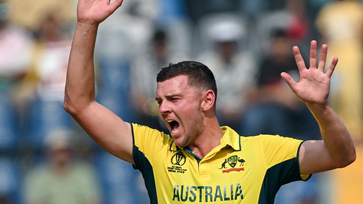 "Saw Few Cracks When…": Hazlewood On Team India Ahead Of World Cup Final