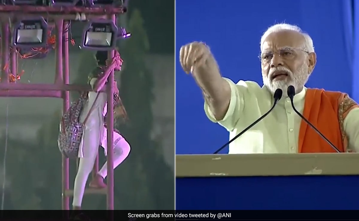 Video: "Beta Neeche Aao," PM Tells Girl Who Climbed Light Tower At Rally