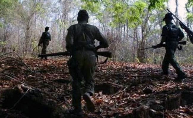 12 Maoists Surrender In Jharkhand's West Singhbhum District: Police