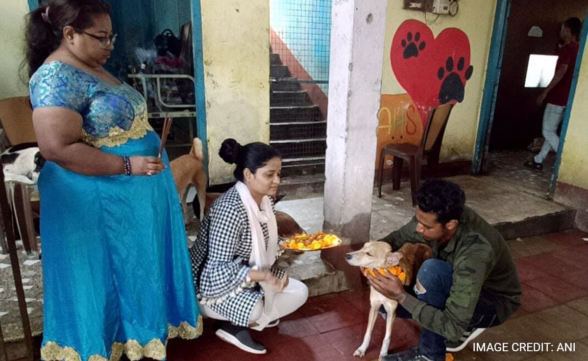 This West Bengal City Worships Dogs, Celebrates "Kukur Tihar" Festival