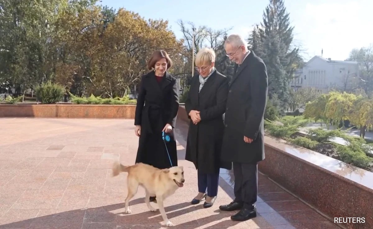 Moldovan President's Dog Bites Austrain Counterpart's Hand