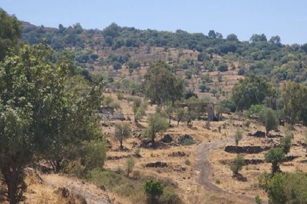 Sirens sounded in northern Golan: Israeli media