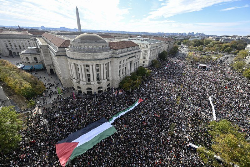 American youth break free from Zionist yokes