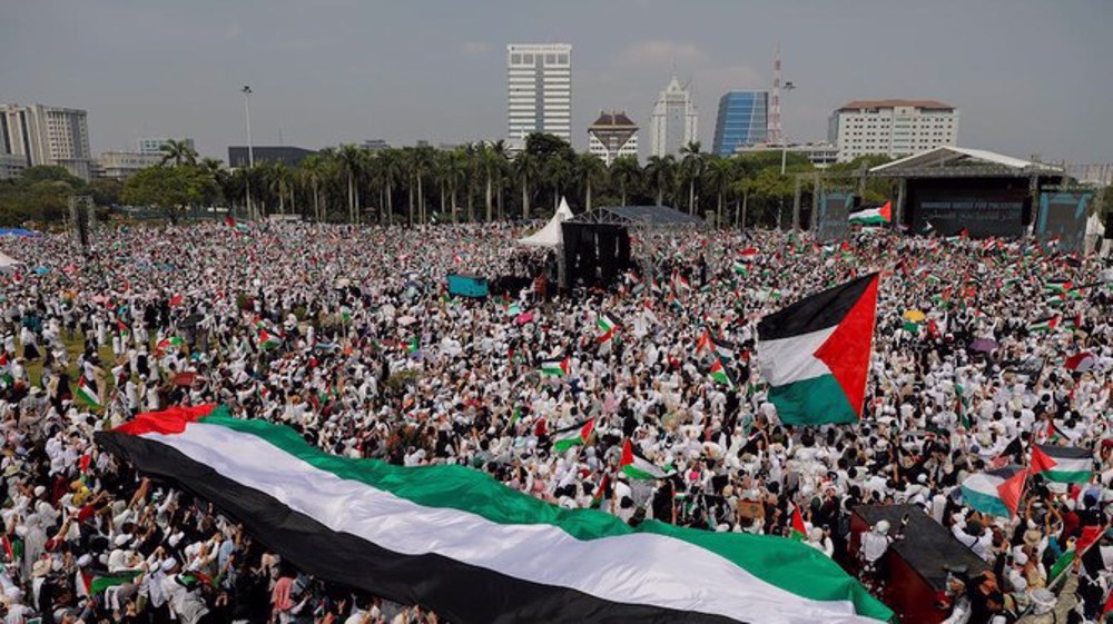 Demos held in several countries against Israel's murderous military offensive