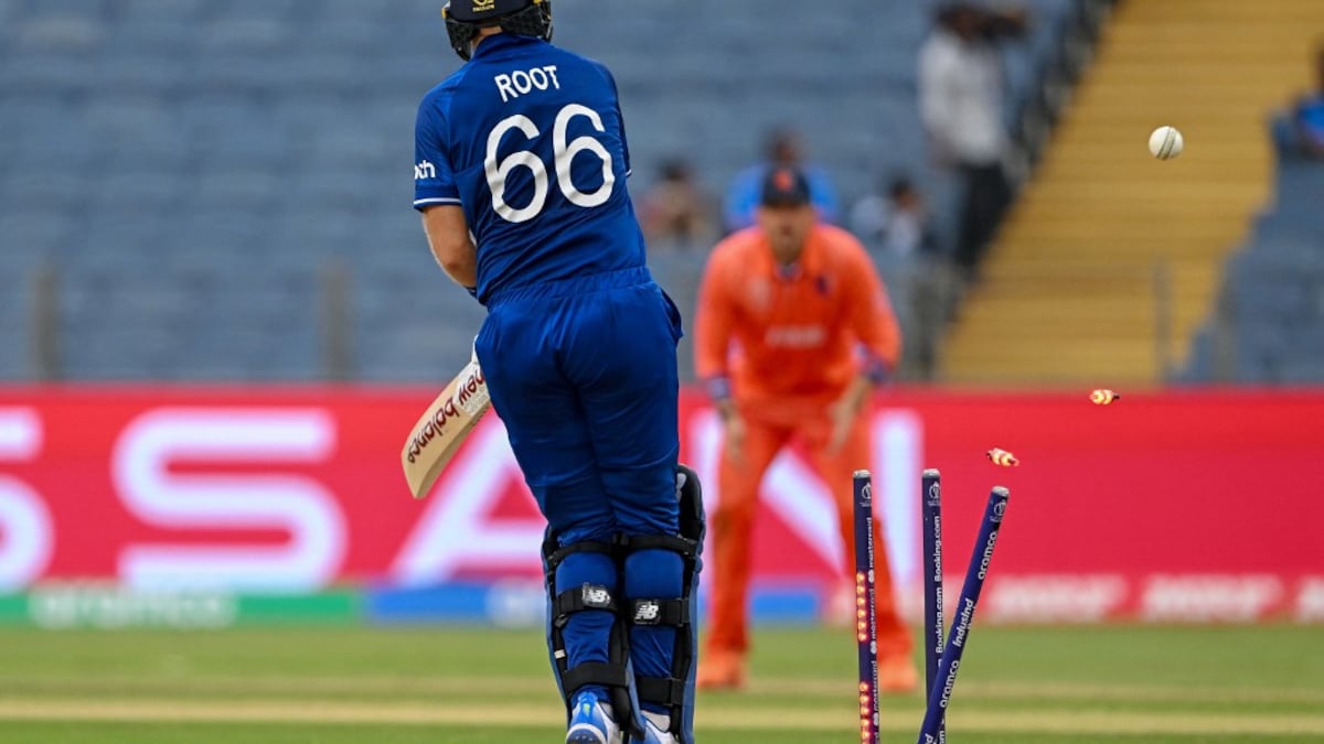 Watch: Root Gets 'Nutmegged' To Be Bowled. England Fan's Reaction Viral