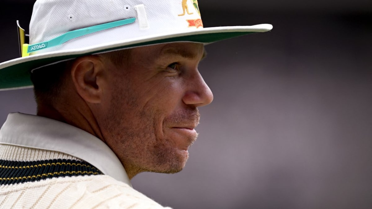 "I Think It's Time": Ex-Australia Star On David Warner's Test Retirement