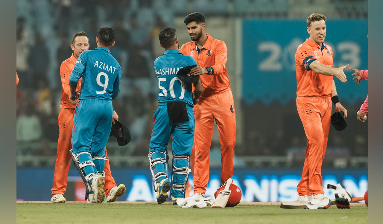 CWC 2023: Clinical Afghanistan secure big win over Netherlands, keep alive semifinal hopes