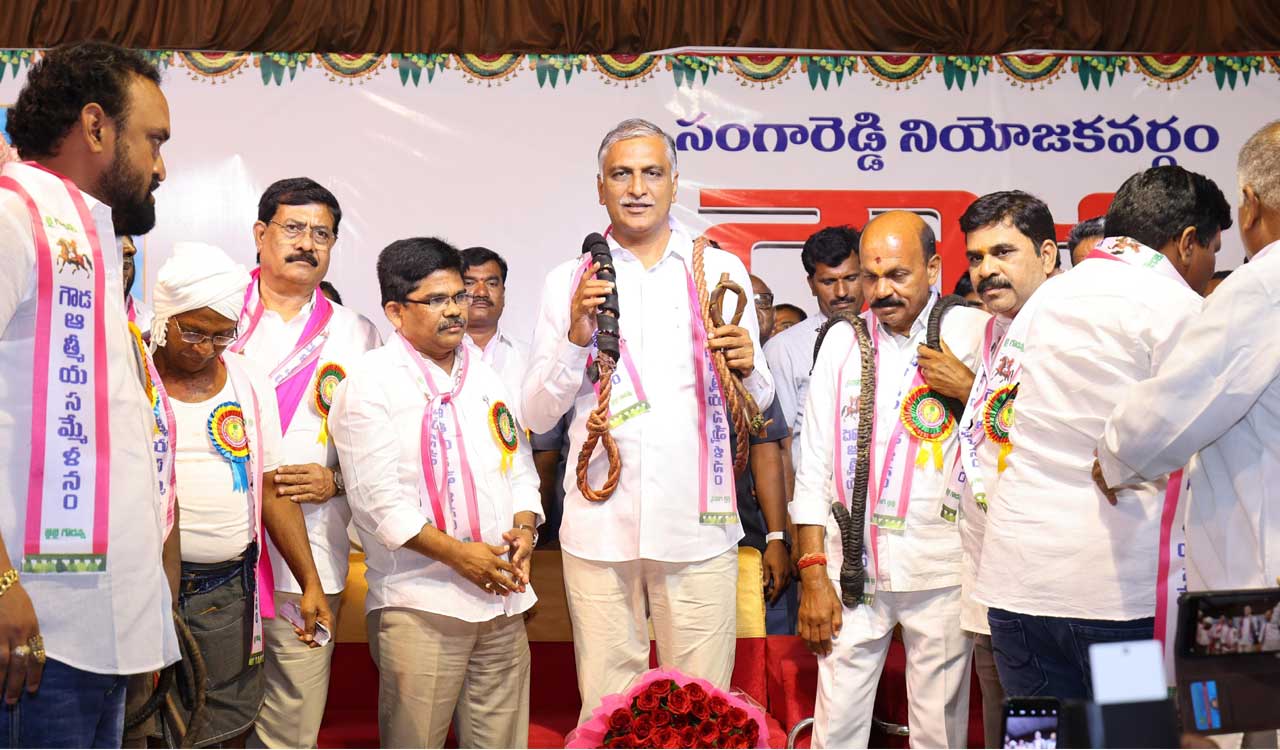 Mid-day meal, breakfast to Madarsa students in Telangana: Harish Rao