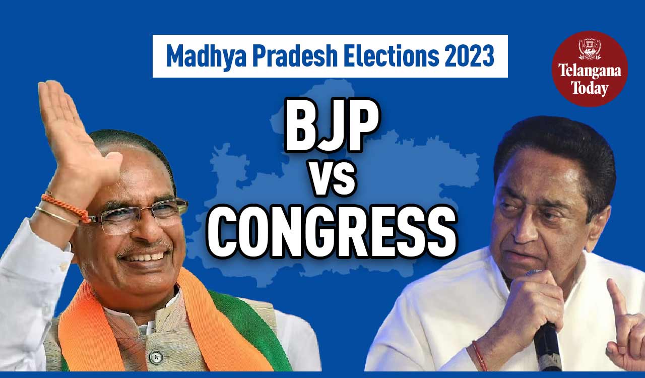 Madhya Pradesh Elections 2023: Analysing Politics Between BJP And Congress | BJP vs Congress In MP