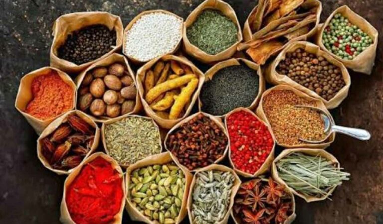 Hyderabad to host 2nd National Spice Conference on November 18, 19-Telangana Today