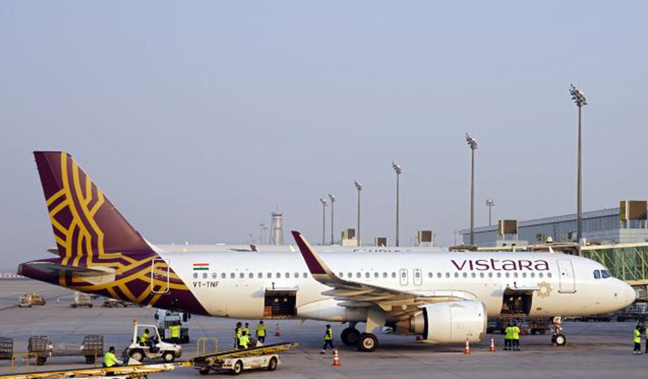 Stray dog enters Goa airport runway, forces Vistara flight to return to Bengaluru