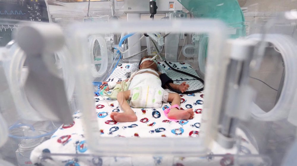 Two premature babies die, 37 at risk in under-siege al-Shifa Hospital in Gaza