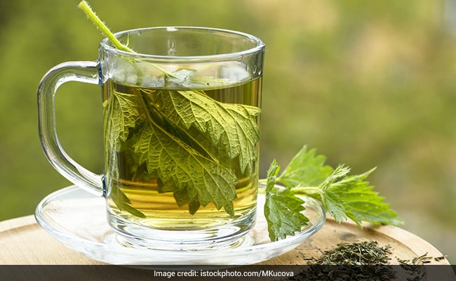 10 Benefits Of Consuming Nettle Tea