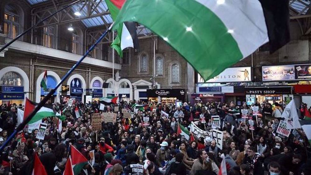 Pro-Palestine march held in London amid tight police presence