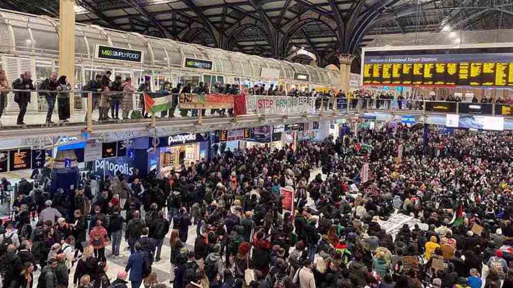 Hundreds of pro-Palestine protesters stage sit-in in London, calling for truce in Gaza