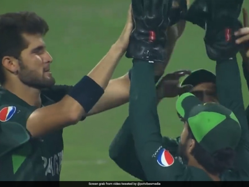 Did Babar Stop Rizwan From Celebrating? Social Media Reacts To Viral Video