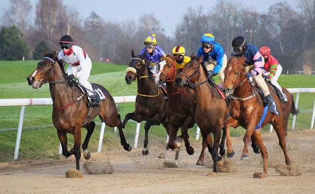 Do Racehorses Even Know They're 'Racing' Each Other? It's Unlikely