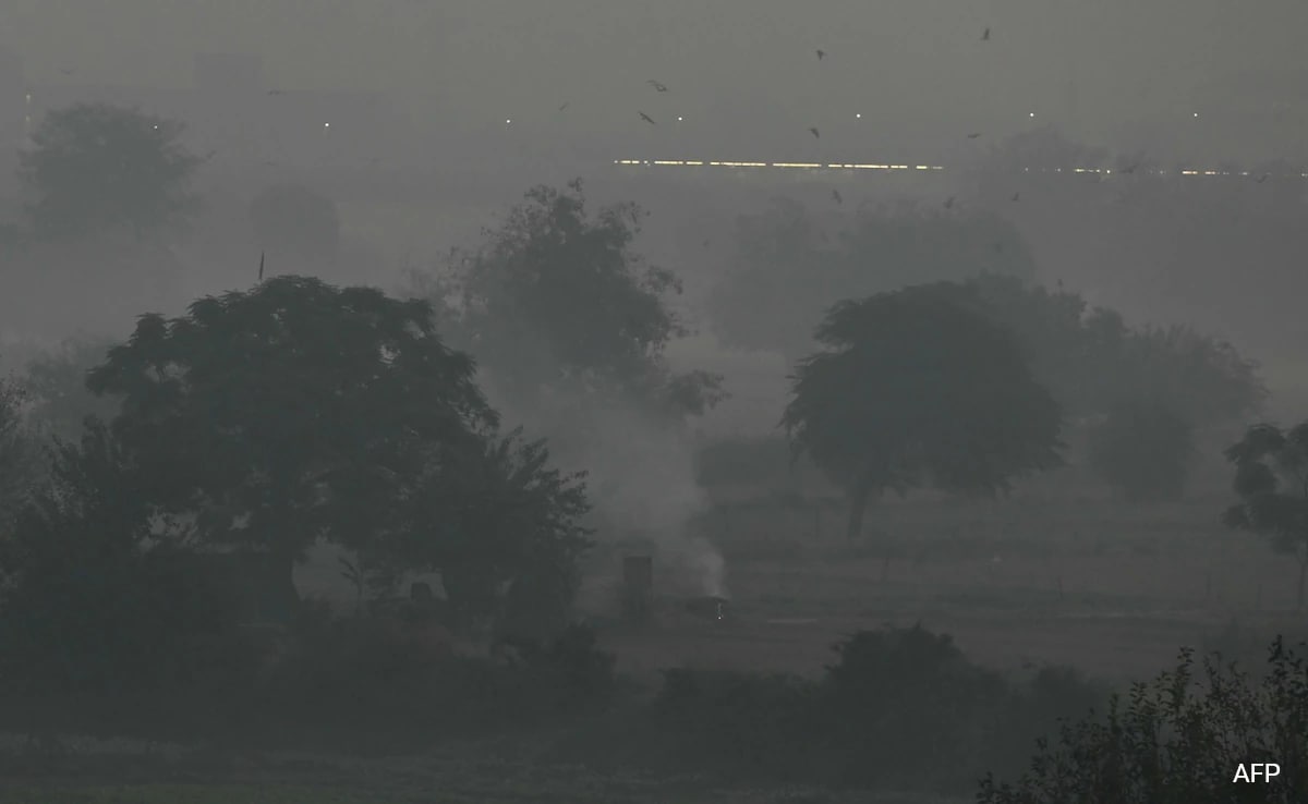 "Next 15-20 Days Critical": Minister Warns As Delhi Air Quality Stays "Very Poor"