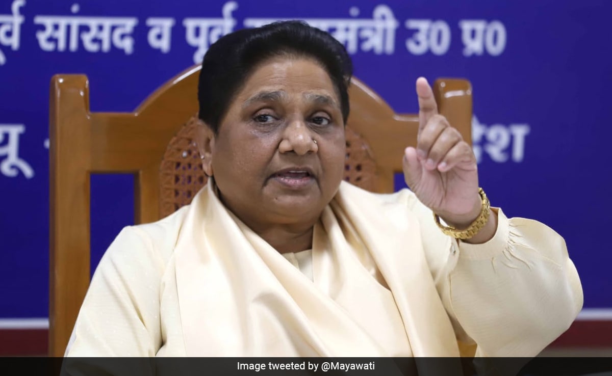 No Alliance For Lok Sabha Elections, Says BSP Chief Mayawati