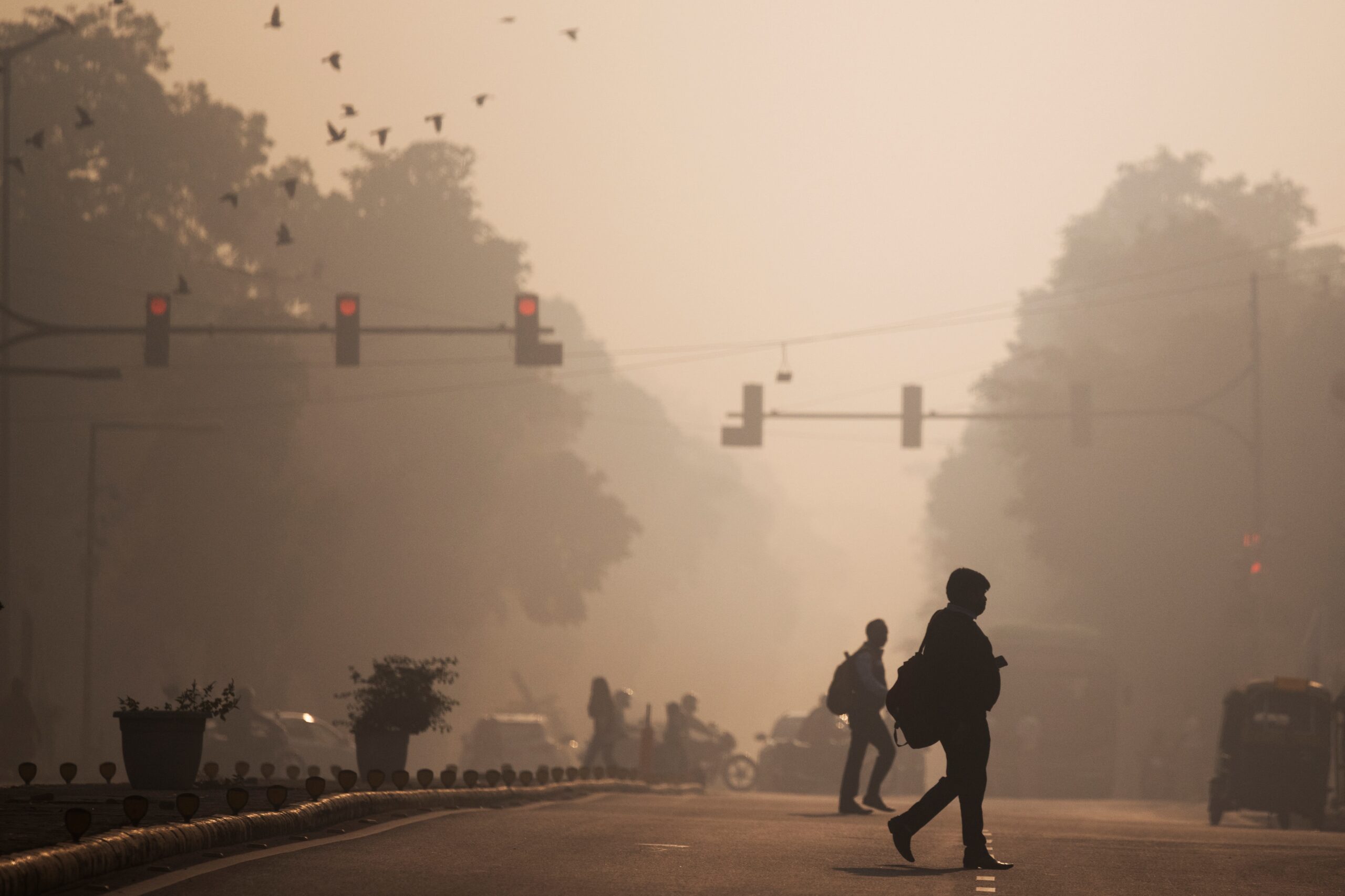 Pollution Levels In Delhi Reported Nearly 100 Times Higher Than WHO Limits