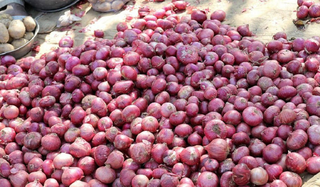 Government launches aggressive retail sale of onions at Rs 25 per kg