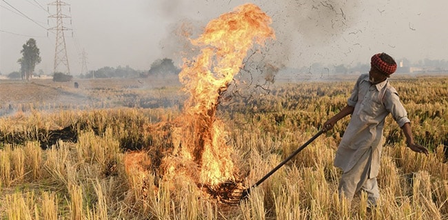 "Farmer Being Made Villain": Supreme Court's Top Quotes On Stubble Burning