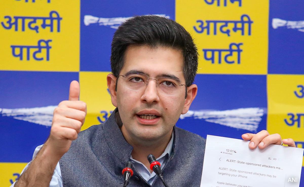 "Case Is Fake": Raghav Chadha On Probe Agency Summons To Arvind Kejriwal